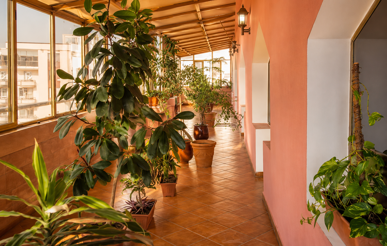 Terrasse jardin